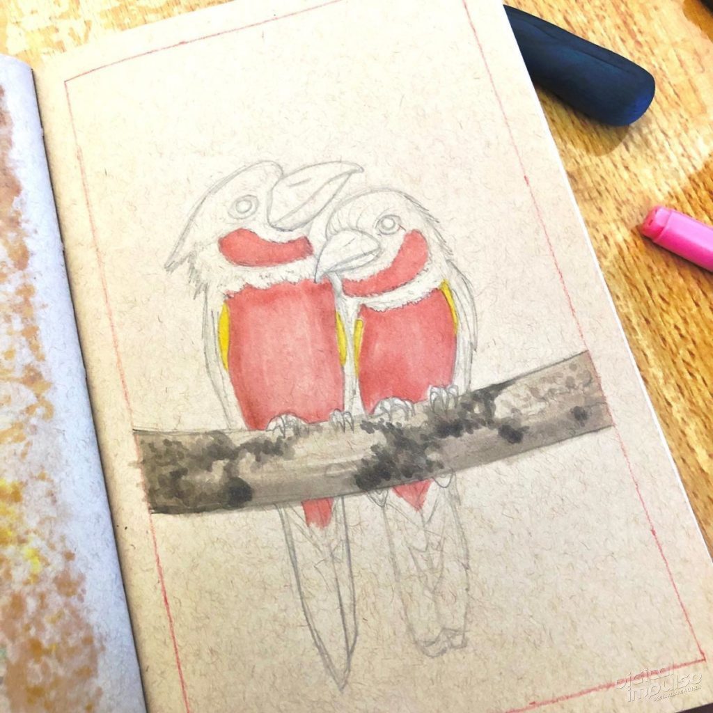 Black & Red Broadbill Illustration 03 - preview image