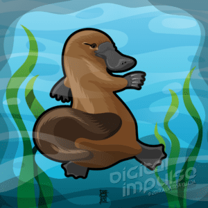 Platypus Vector Illustration preview image