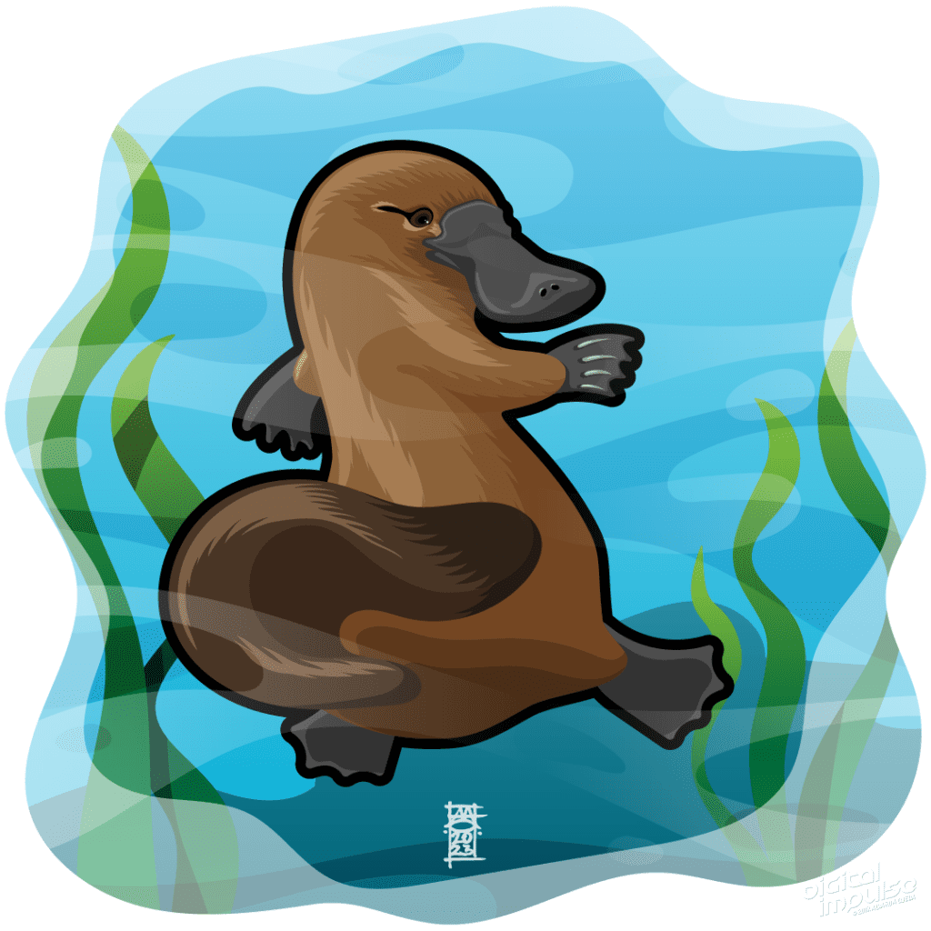 Platypus Vector Illustration Alternative Design preview image