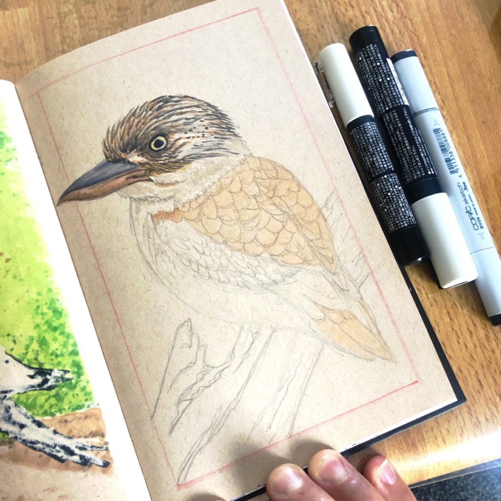 Kookaburra Illustration process shot. Starting colouring with the head and blocking in the major background shades. Copic markers & Posca pens on tan tones Strathmore Sketchbook.