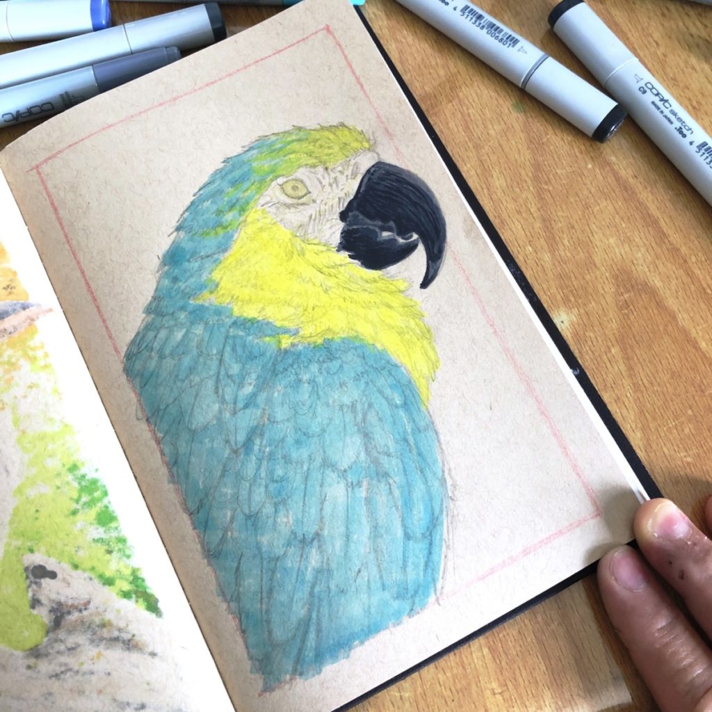 Blue & Yellow Macaw Copic Markers Illustration - 03 preview image