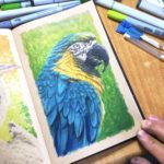 Blue & Yellow Macaw Copic Markers Illustration