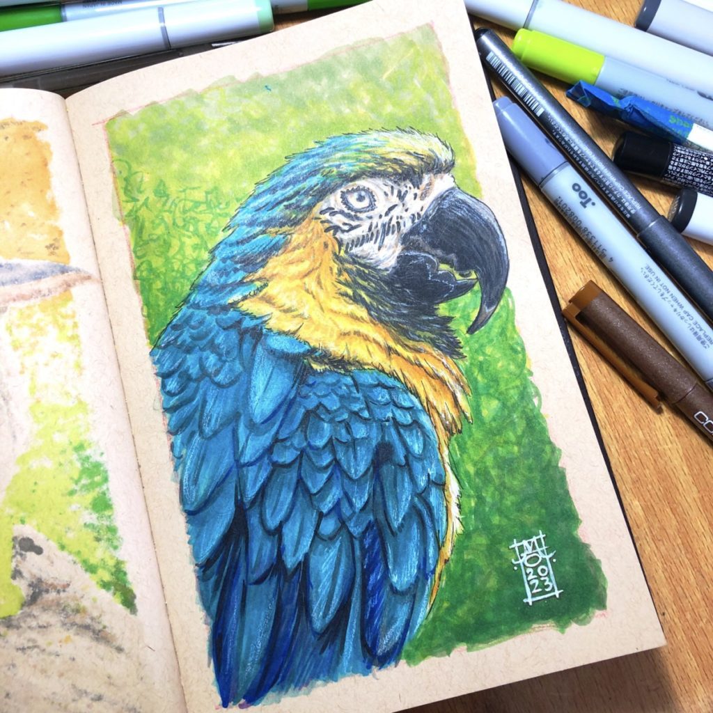 Blue & Yellow Macaw Copic Markers Illustration - 01 preview image