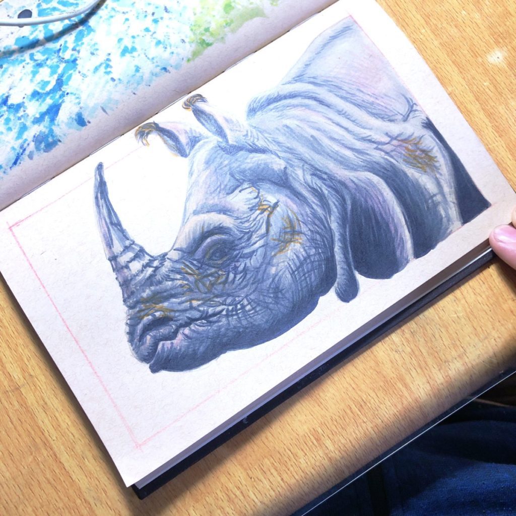 One-Horned Rhinoceros Copic Marker Illustration - 03 preview image