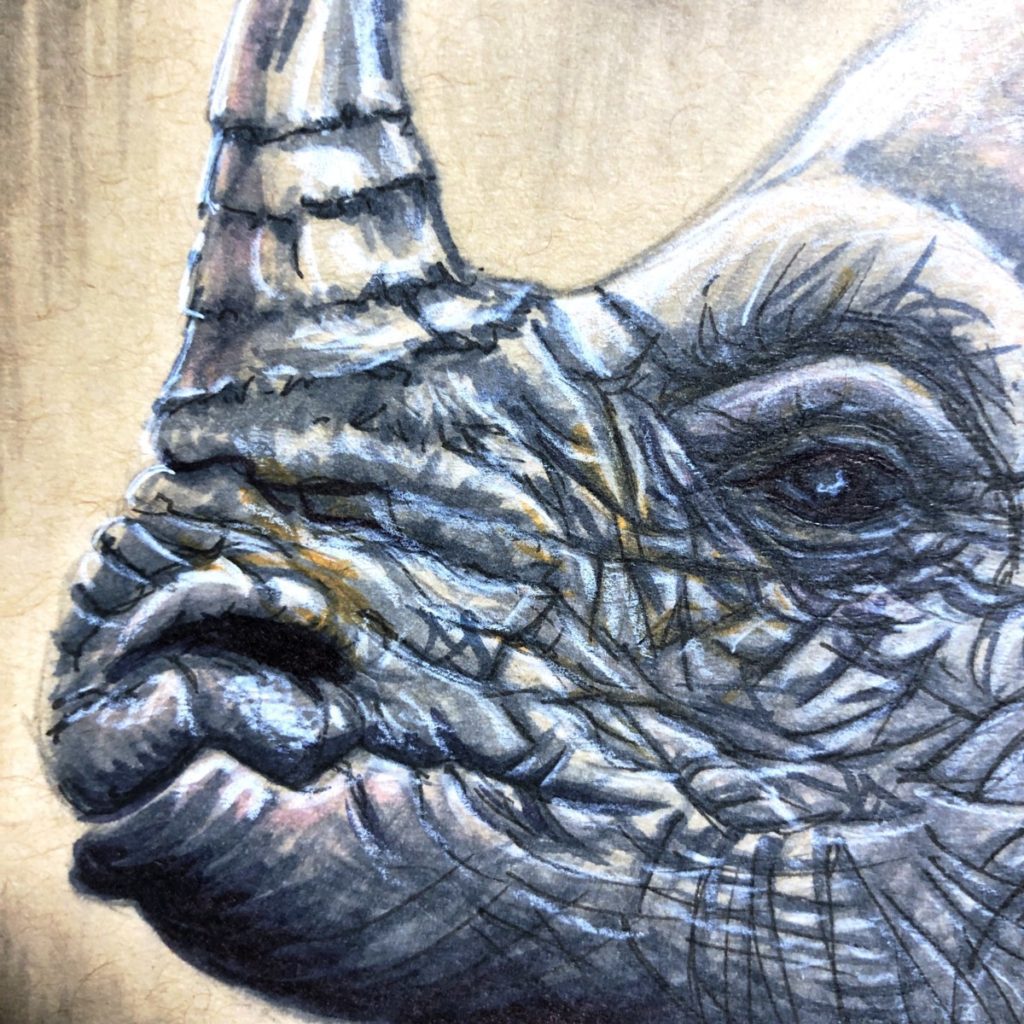 One-Horned Rhinoceros Copic Marker Illustration - Face Detail preview image