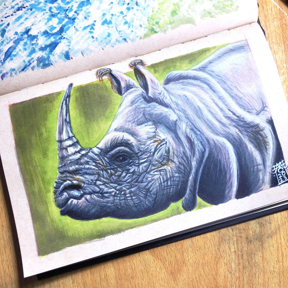One-Horned Rhinoceros Copic Marker Illustration preview image
