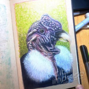 Andean Condor Copic Marker Illustration preview image