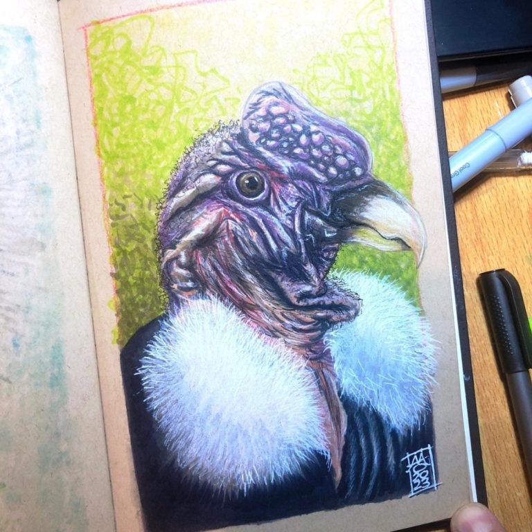 Andean Condor Copic Marker Illustration preview image